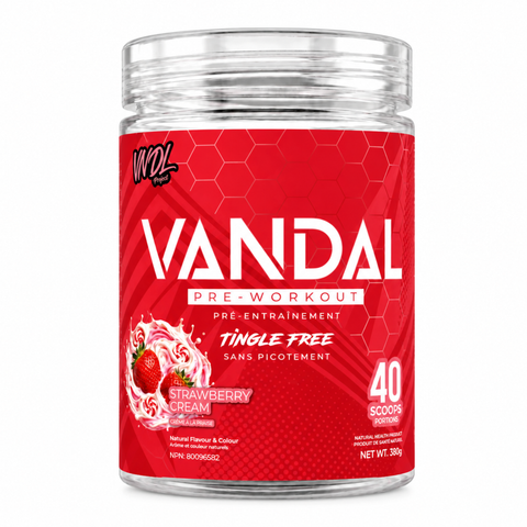 VNDL Project - Vandal Pre Workout - 335g