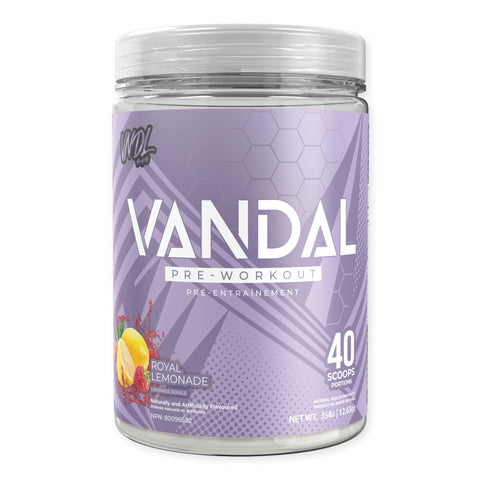 VNDL Project - Vandal Pre Workout - 335g